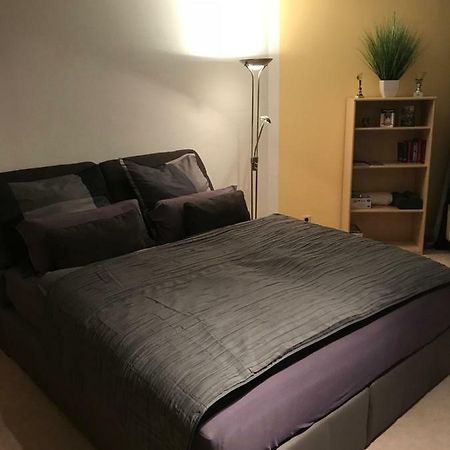 Kleine Wohnung Im Gruenen เดรสเดน ภายนอก รูปภาพ