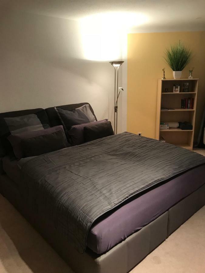 Kleine Wohnung Im Gruenen เดรสเดน ภายนอก รูปภาพ