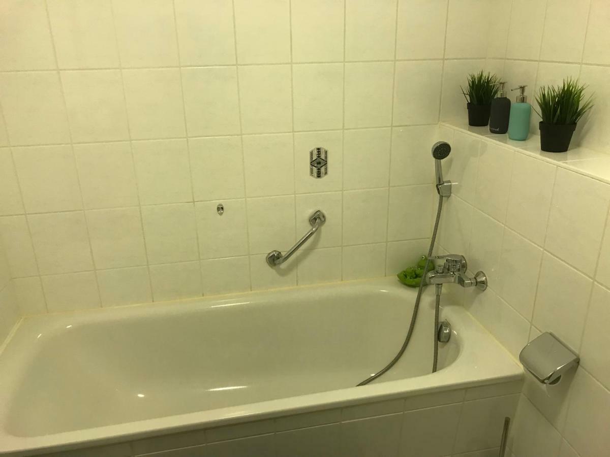 Kleine Wohnung Im Gruenen เดรสเดน ภายนอก รูปภาพ